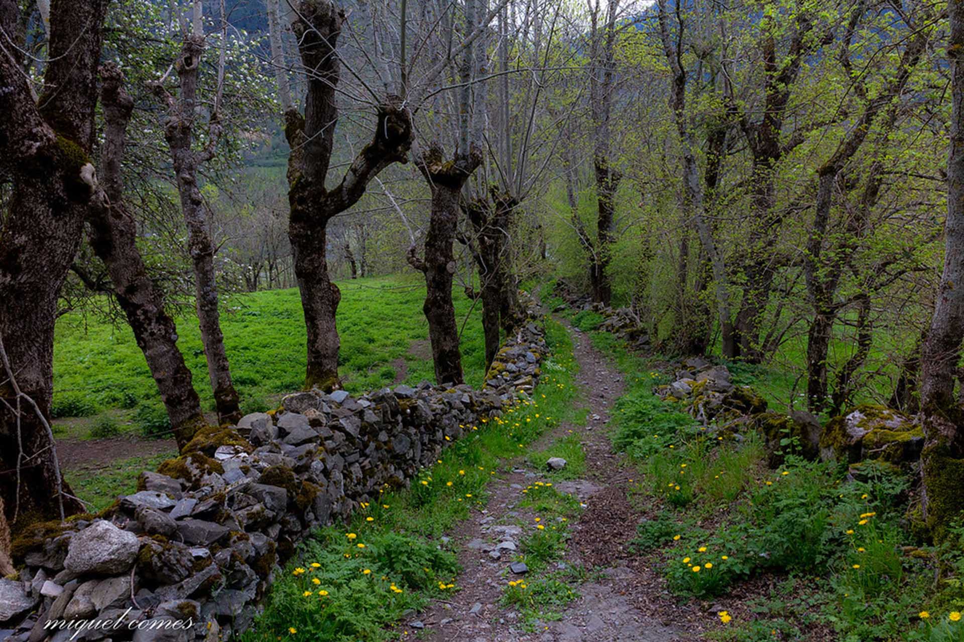 Senderismo por el valle de Arán