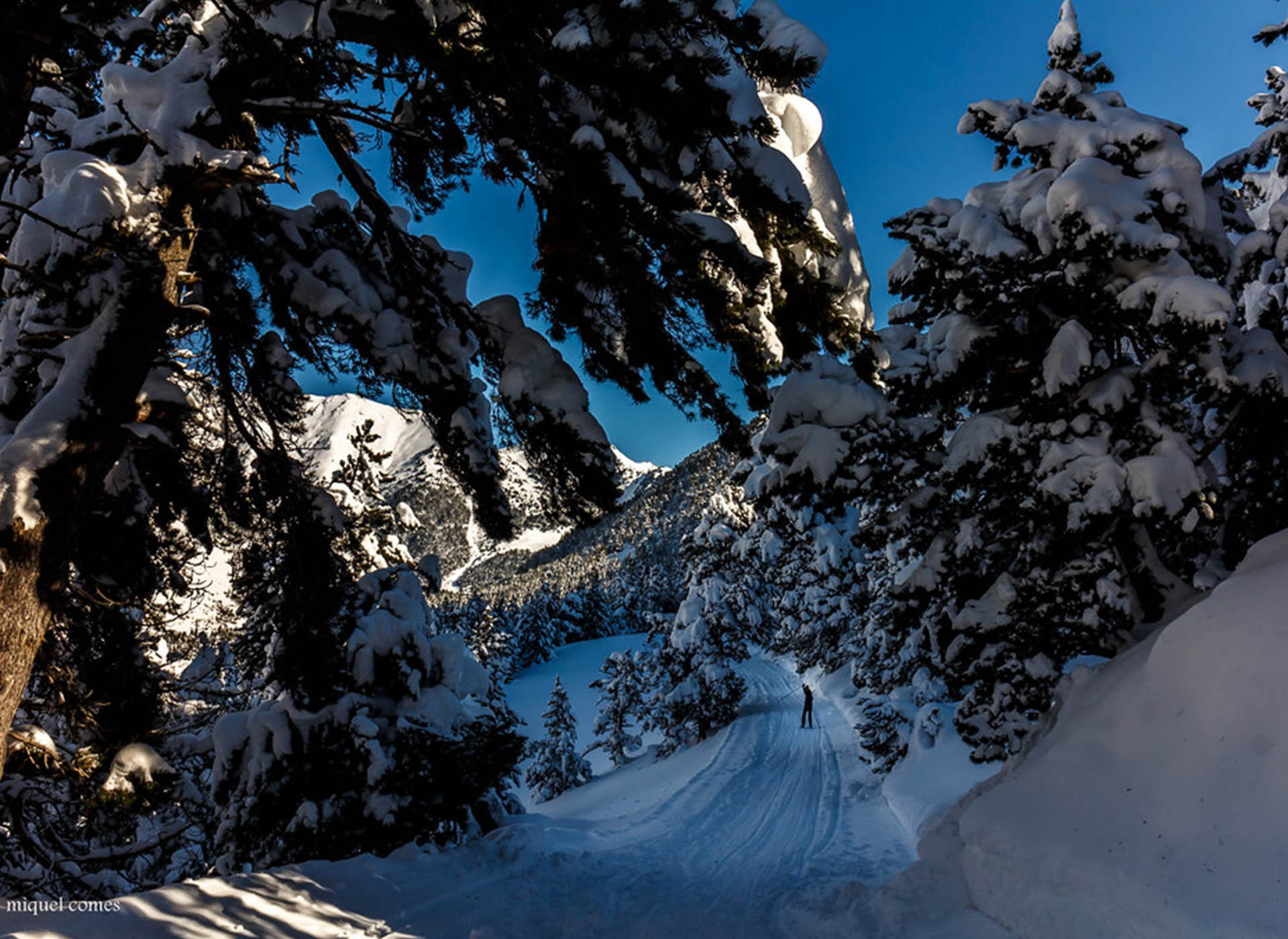 Montañas de ensueño