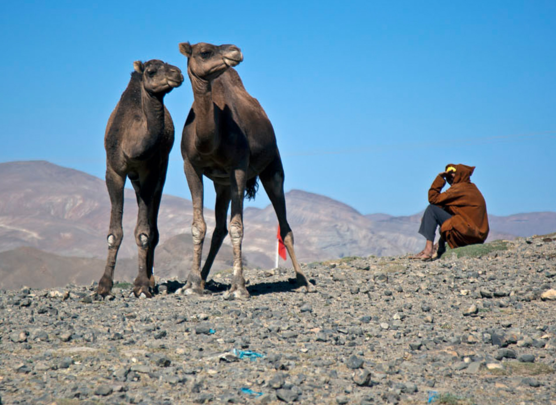 Travesía por los valles del Alto Atlas